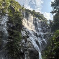 評論圖片 1