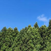 評論圖片 3