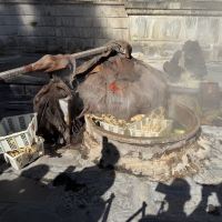 評論圖片 8