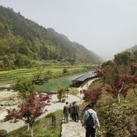 評論圖片 6