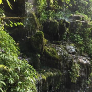 評論圖片 6