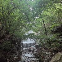 評論圖片 9