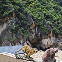 評論圖片 8