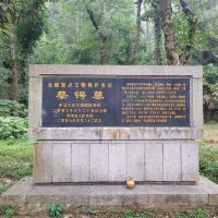 評論圖片 8