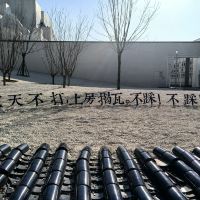 評論圖片 3