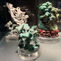 評論圖片 7