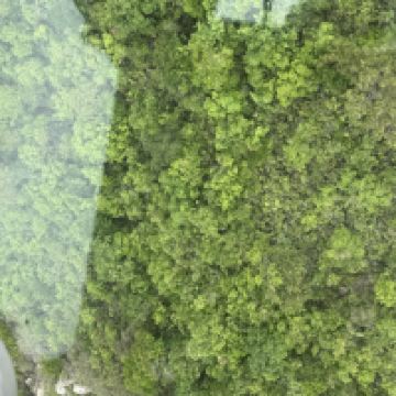 評論圖片 3