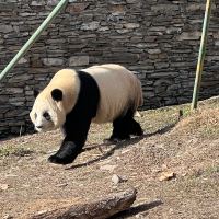 評論圖片 6