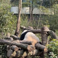 評論圖片 2