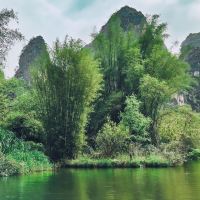 評論圖片 2
