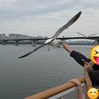 評論圖片 2