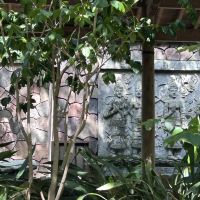 評論圖片 2