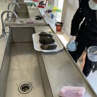 評論圖片 2