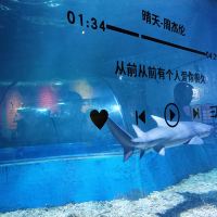 評論圖片 5
