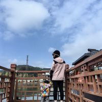 評論圖片 5