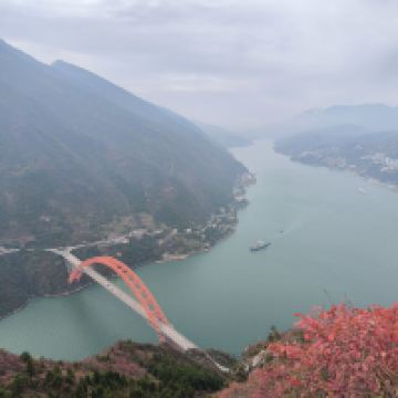 評論圖片 1