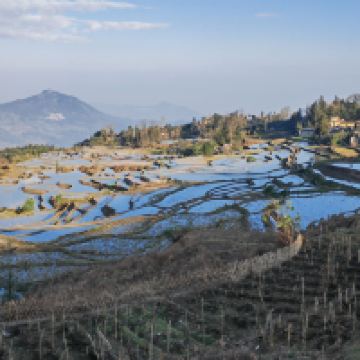 評論圖片 5