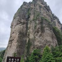 評論圖片 7