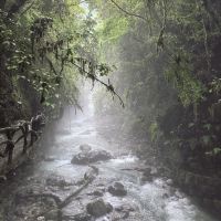 評論圖片 5