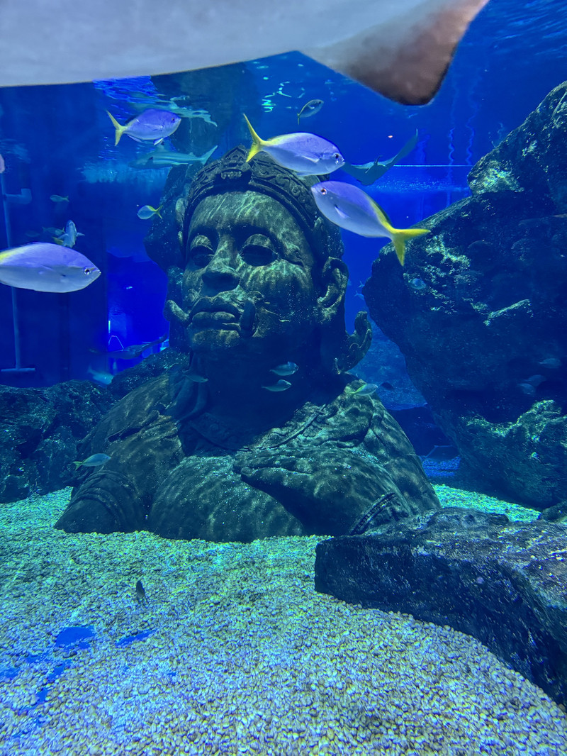 暹羅海洋世界用戶評價