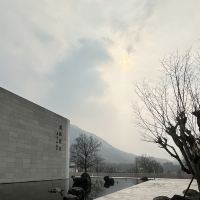 評論圖片 1