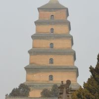 評論圖片 3