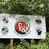 評論圖片 3