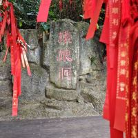 評論圖片 2