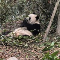 評論圖片 8