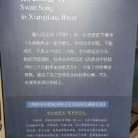 評論圖片 6