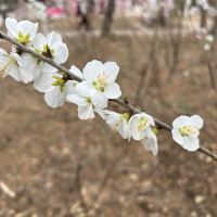 評論圖片 3