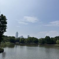 評論圖片 3