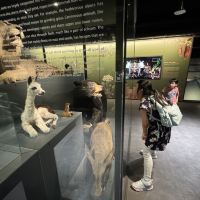 評論圖片 2