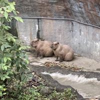 評論圖片 5