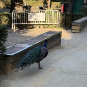 評論圖片 3