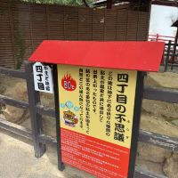 評論圖片 7