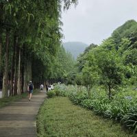 評論圖片 1