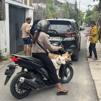 評論圖片 4