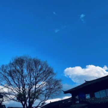 評論圖片 1
