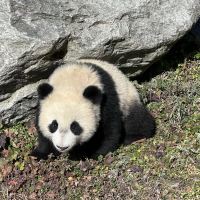評論圖片 1