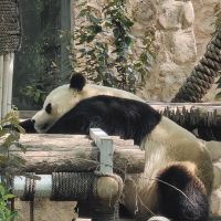 評論圖片 3