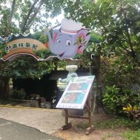 評論圖片 2
