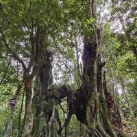 評論圖片 3