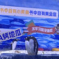評論圖片 7