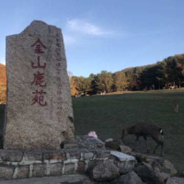 評論圖片 1
