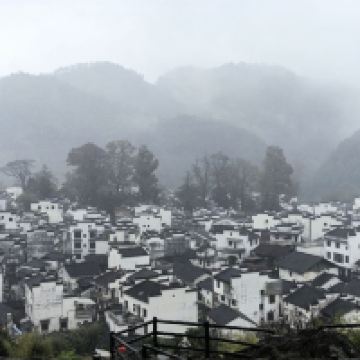 評論圖片 6