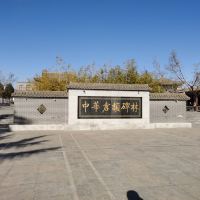 評論圖片 4