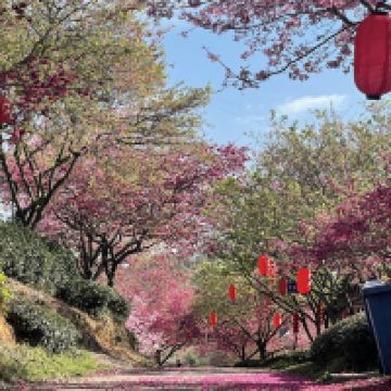 評論圖片 2