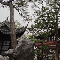 評論圖片 2