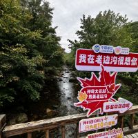 評論圖片 1